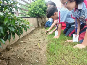 Hands-on Learning in Action! img (3)