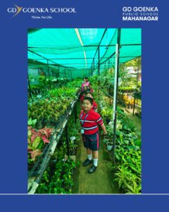 SaveClip.App_742760310_17996096216964588_7229914240751906252_n